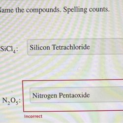 Name the compounds. spelling counts