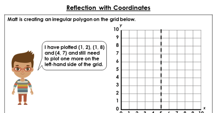 Reflection coordinates