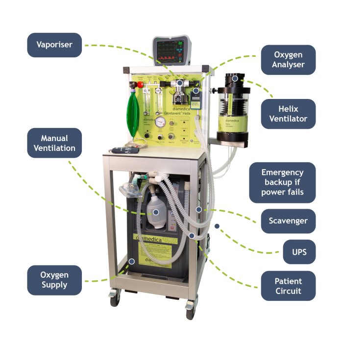 Anaesthesia anesthesia anatomy indicator circuit pneumatic