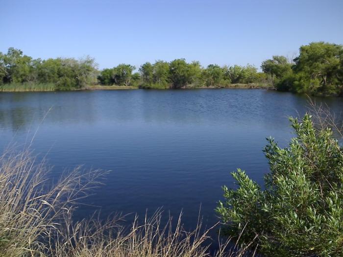 Pond texas fishing fish corpus christi lake bird tx pollywog water drought east stock popular wildlife forage impact its 2048