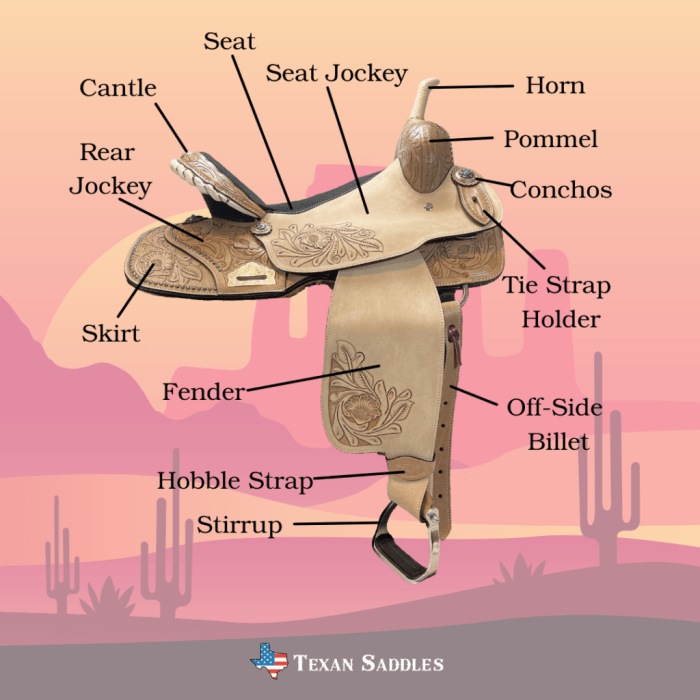 Parts of a western saddle diagram