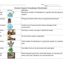 Understanding our environment worksheet answer key