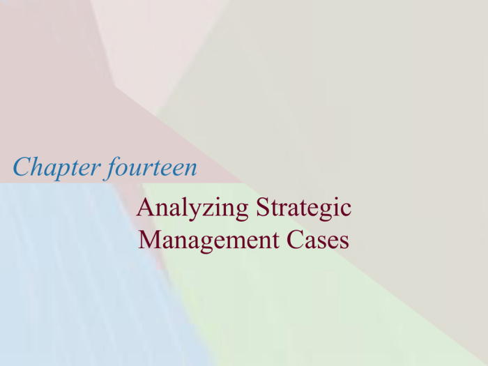 Strategic management text and cases 10th edition