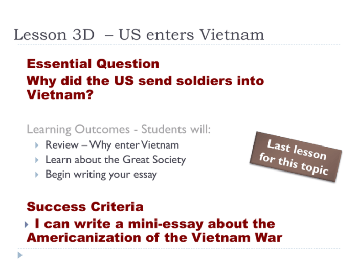 Analyze the ways in which the vietnam war heightened social