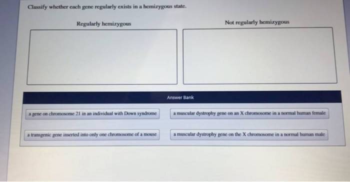 Classify whether each gene regularly exists in a hemizygous state.