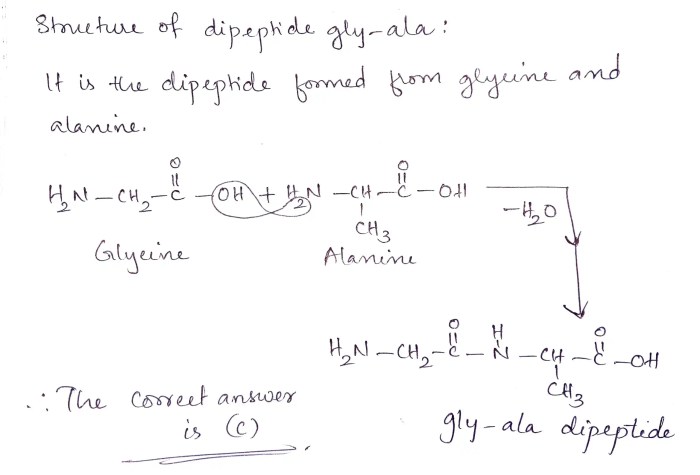 Draw the dipeptide gly-gly. the structure of glycine is