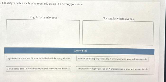 Classify whether each gene regularly exists in a hemizygous state.