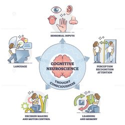 Psychology neuroscience difference between differences