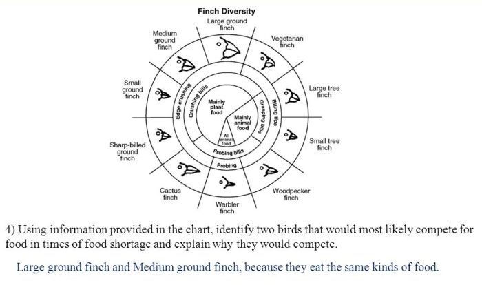 The beaks of finches student laboratory packet